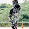 Women's leggings yoga pants-Aria Doejay