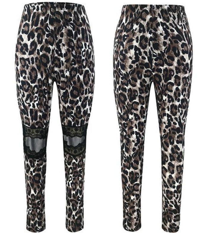 Hollow lace leopard leggings-Aria Doejay