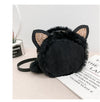 Autumn And Winter Furry Small Bag Female Chain Small Satchel