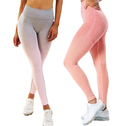 Kaya Seamless Ombre Legging - Orange Red-Aria Doejay