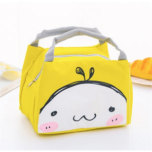 Portable Insulated Lunch Bag Box Picnic Tote Bag