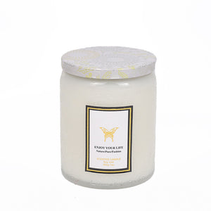 Embossed Glass Fragrance Handmade Gift Aromatherapy Soy Candles-Aria Doejay