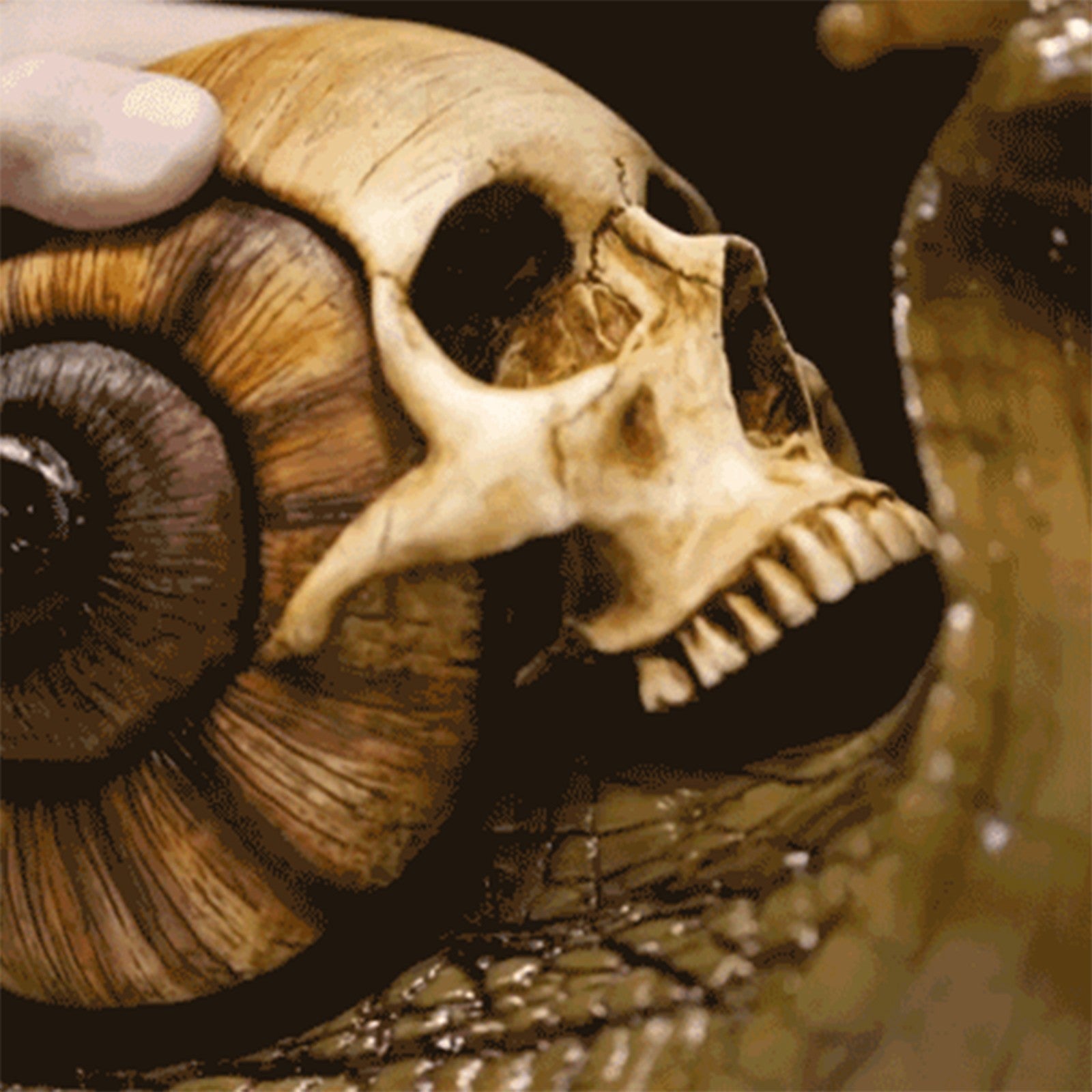 Snail Skull Sculpture Gothic Decoration Snail Statue Patio Snail Figurine Crafts Home Decoration Accessories Kawaii Room Decor-Aria Doejay